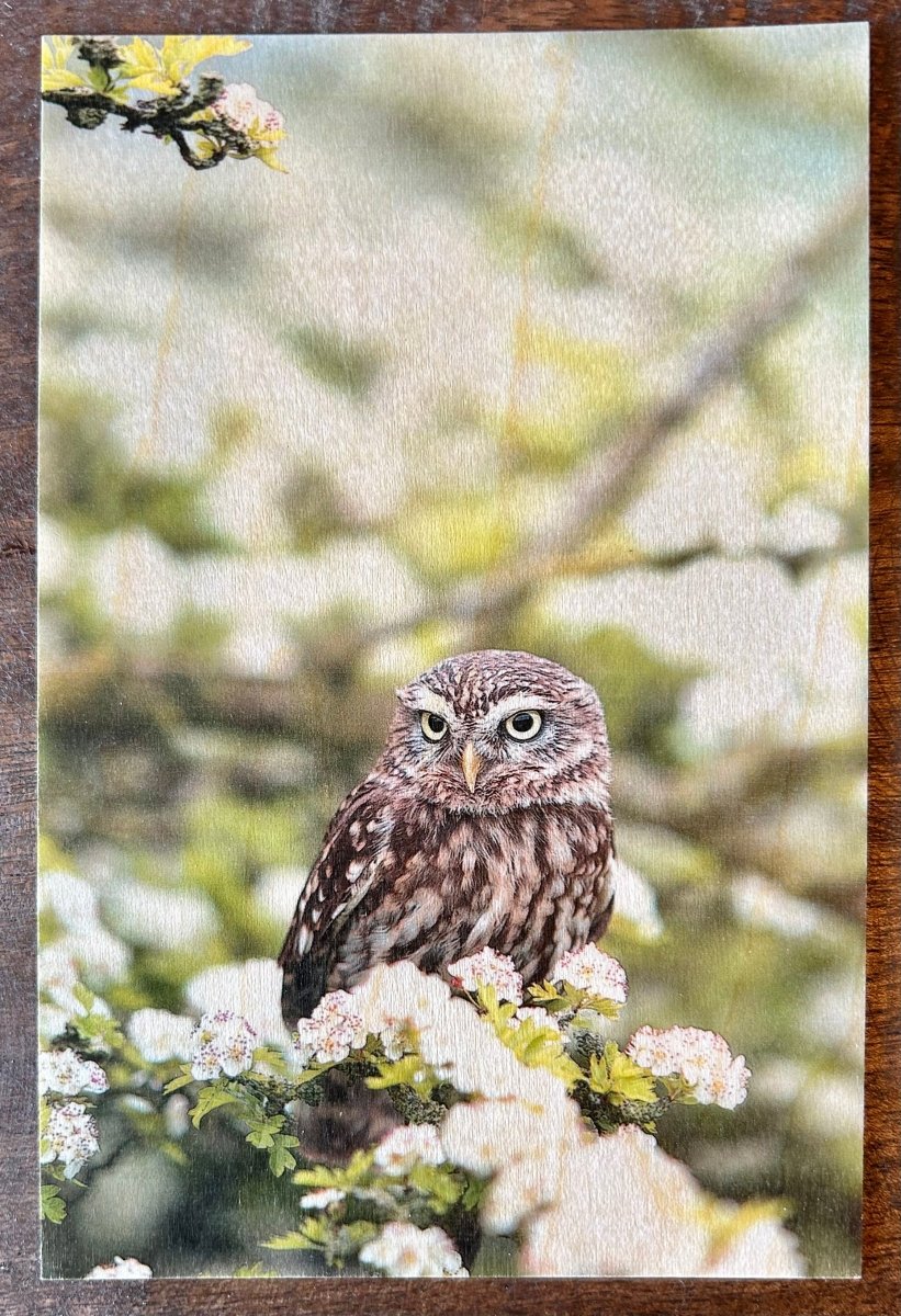 Carte postale en bois - Mamie bohémeCarte postale en bois