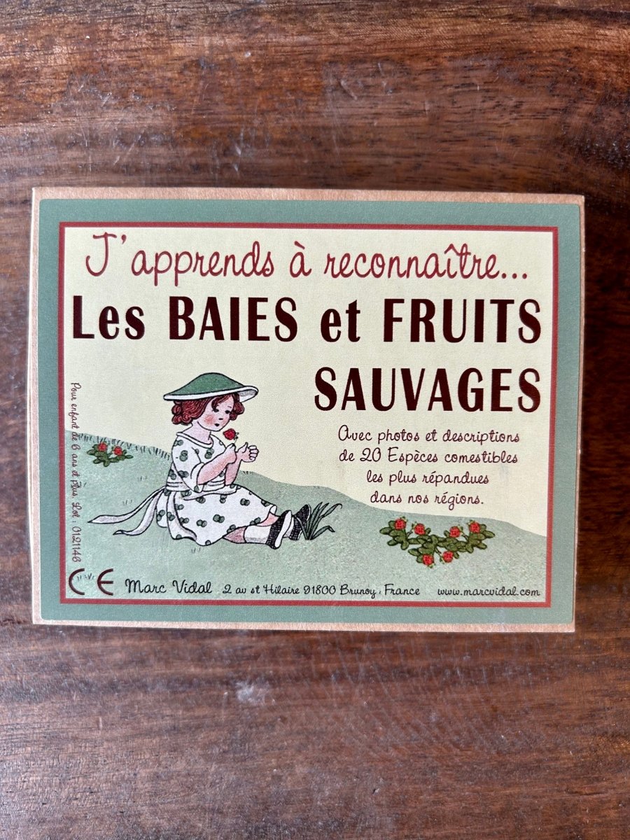 J’apprends à reconnaître les baies et fruits sauvages - Mamie bohémeJ’apprends à reconnaître les baies et fruits sauvages