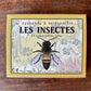 J’apprends à reconnaître les insectes - Mamie bohémeJ’apprends à reconnaître les insectes